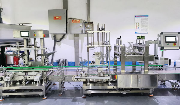 双头电子称重灌装压盖机